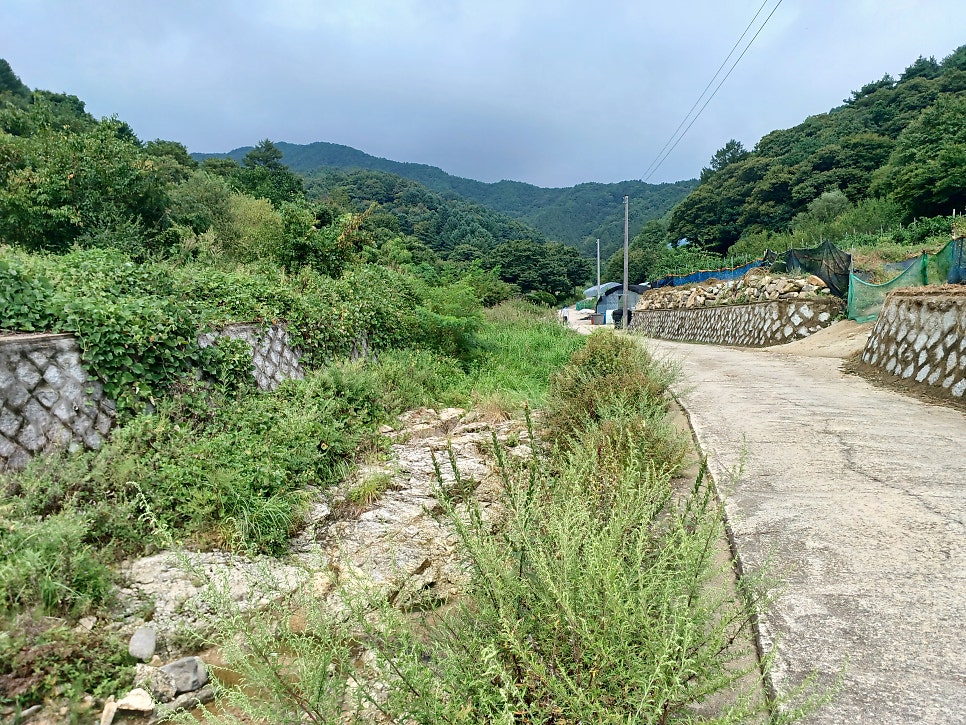 대밭골 사진 3