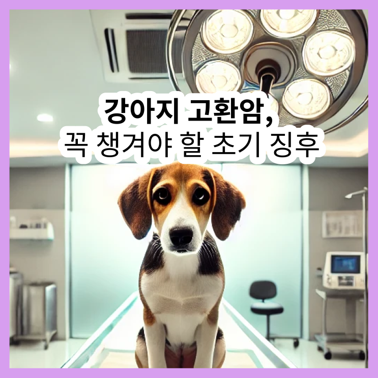  강아지 고환암, 꼭 챙겨야 할 초기 징후
