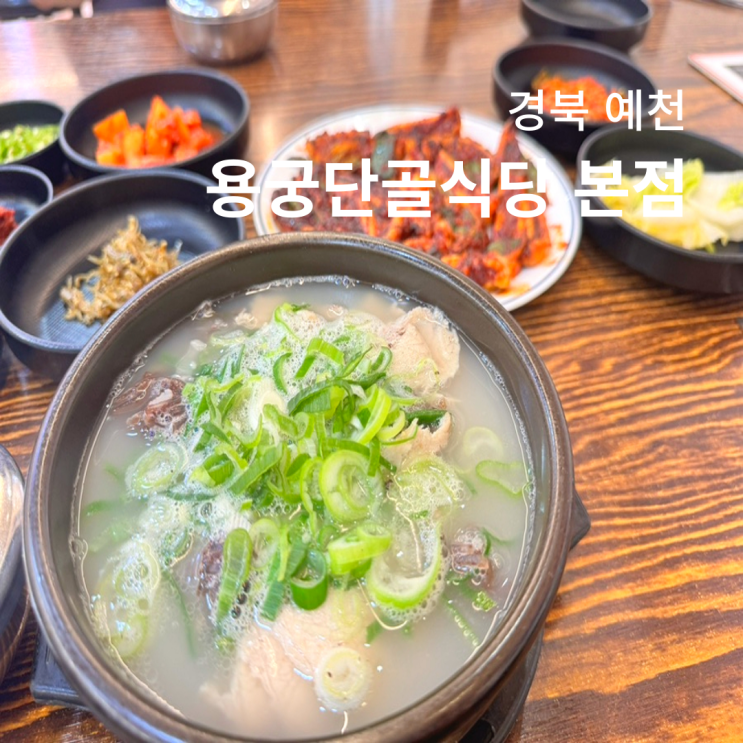  경북 예천 맛집 용궁단골식당 본점 후기 주차