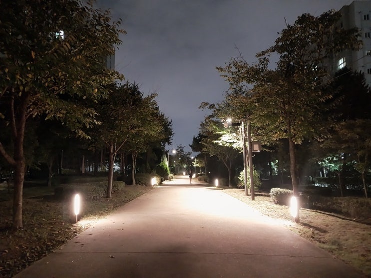  밤산책
