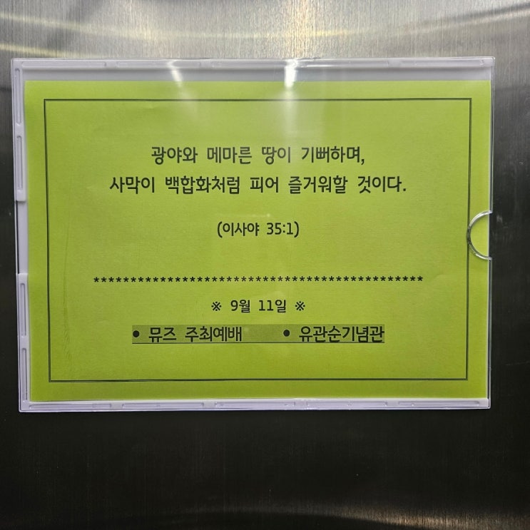 8~9월 갤러리털이