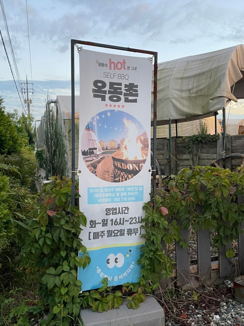 사진 5