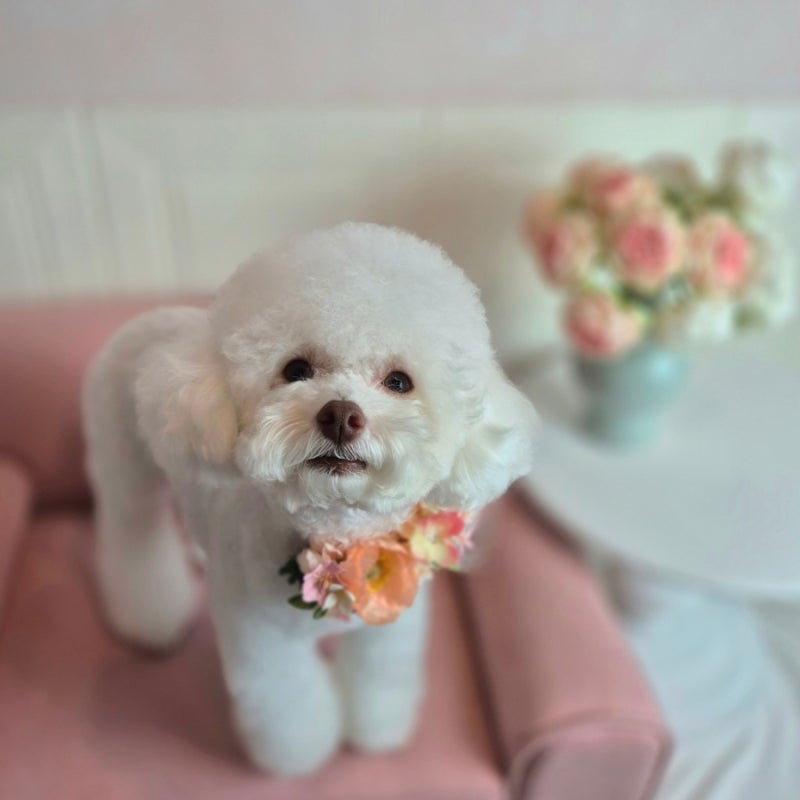 사진 3