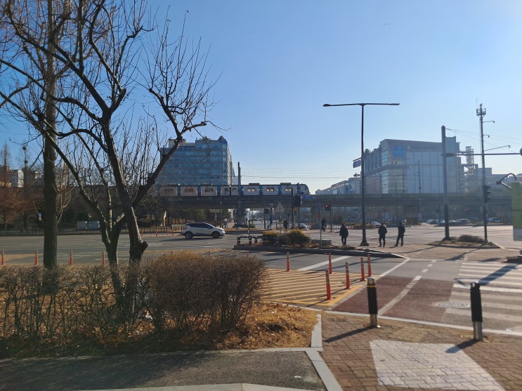  면밀히 검토하는 대전 손해사정인