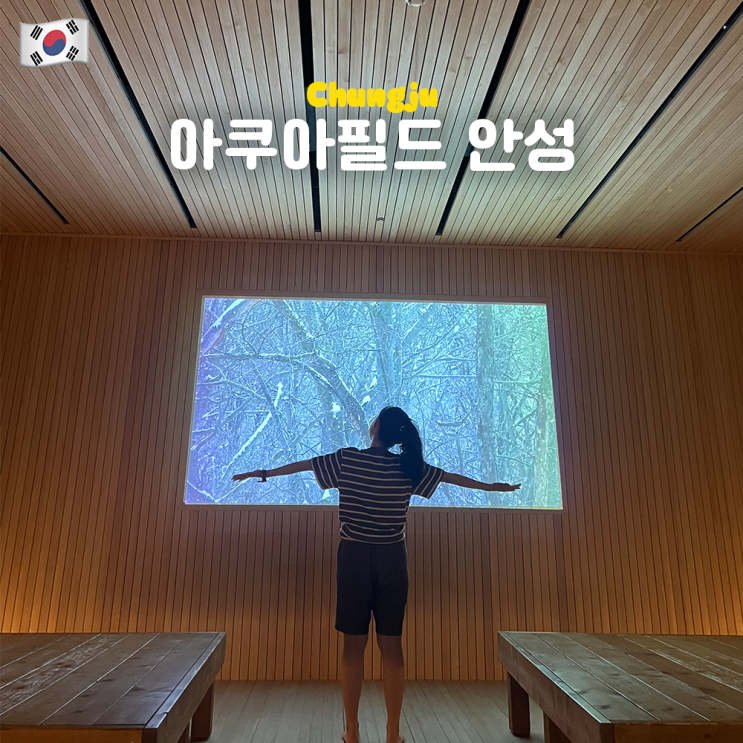  아쿠아필드 안성 찜질방 주말 오후 방문! (주차, 할인, 세신 가격, 하남점과 비교, 꿀팁, 족욕)
