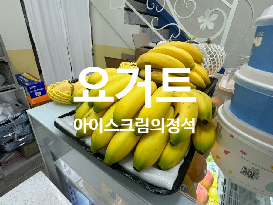 요거트아이스크림의정석 옥천점 사진 2