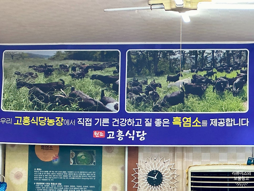 고흥식당 사진 2
