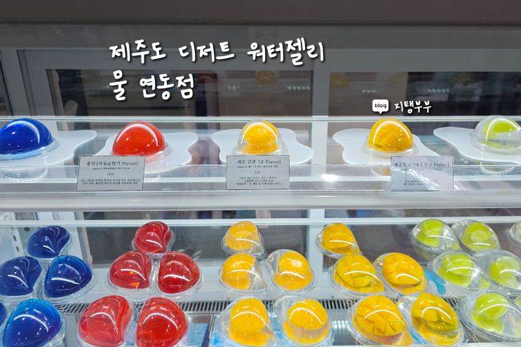  제주도 이색적인 디저트 제주 용암해수로 만든 워터젤리 한 번쯤 먹어볼만한 제주물젤리