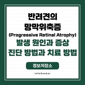  반려견의 망막위축증(Progressive Retinal Atrophy) 발생 원인과 증상, 진단 방법과 치료 방법