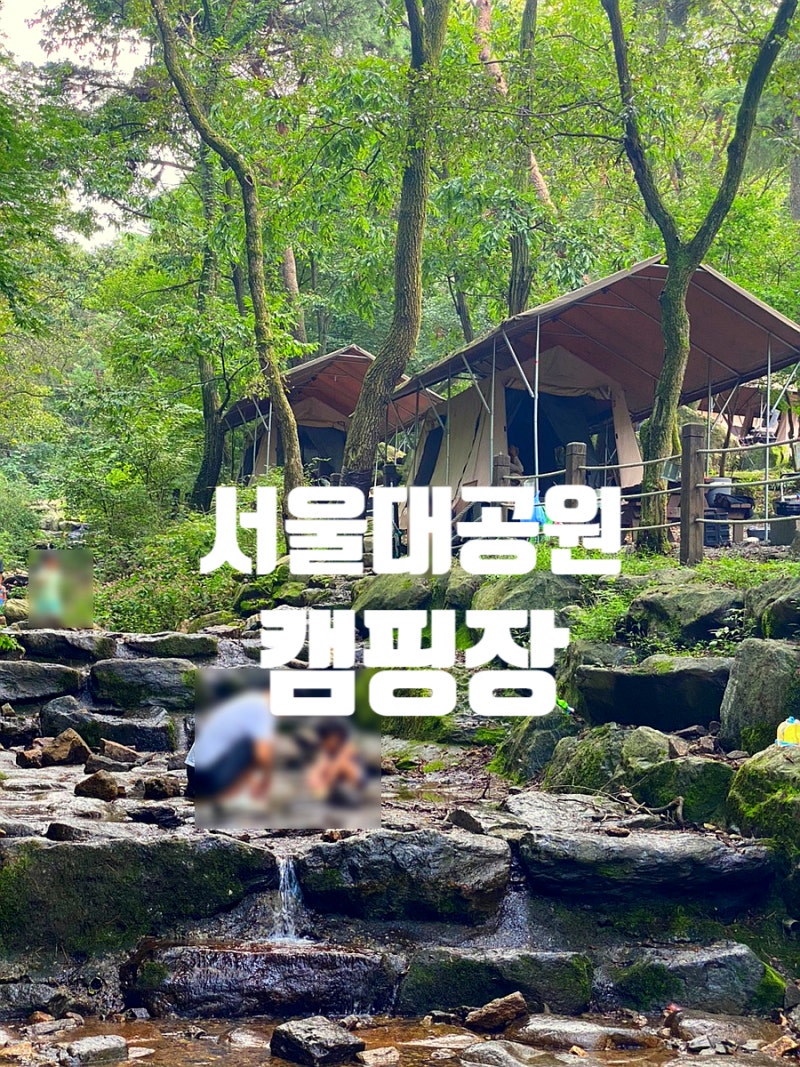 서울대공원 캠핑장 예약방법과 중형 텐트 이용후기