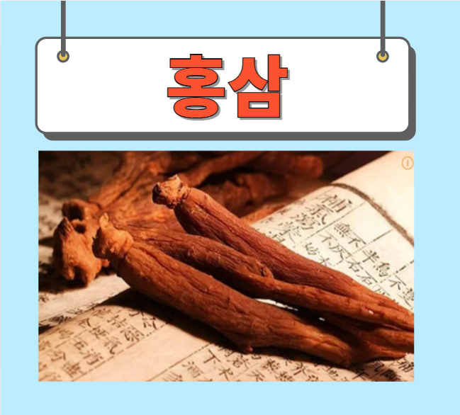  홍삼 효능 진세노사이드 완벽정리