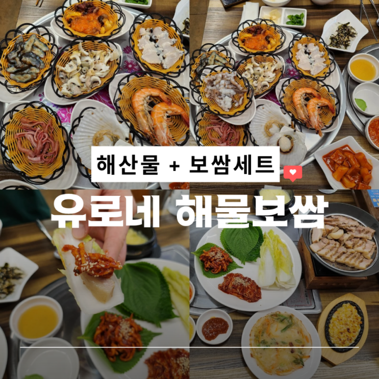  의정부 해산물 모듬 보쌈 세트 호원동 해물 보쌈 맛집