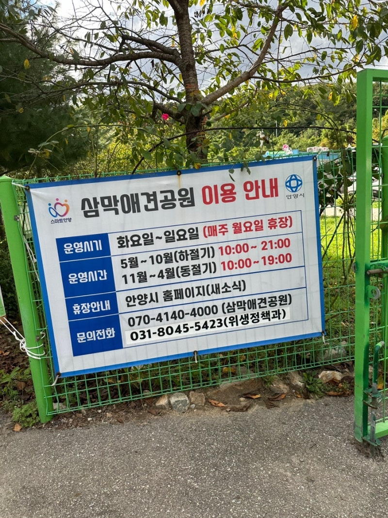 사진 8