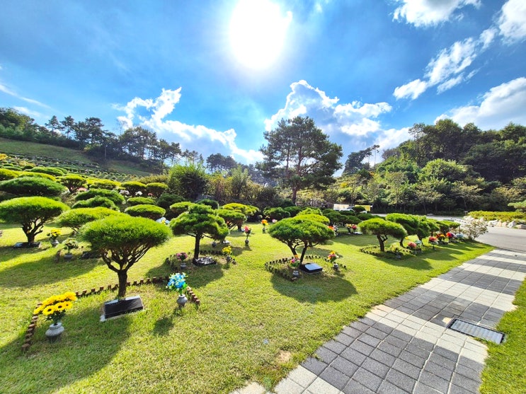  용인수목장 비용 유형 알아보기