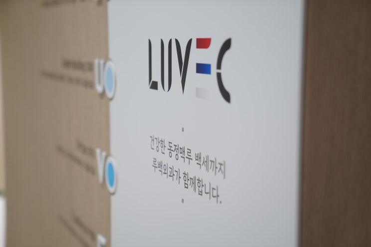  투석접근로? 투석혈관? 동정맥루?