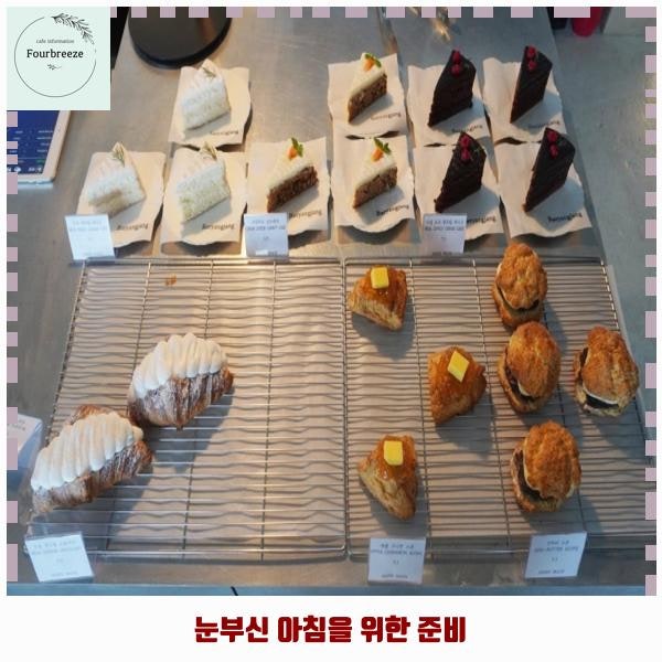 사진 5
