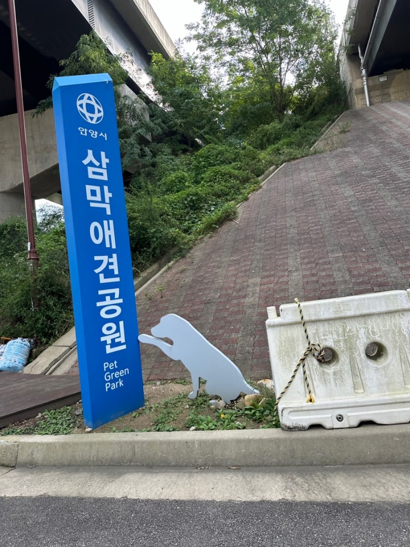 사진 7