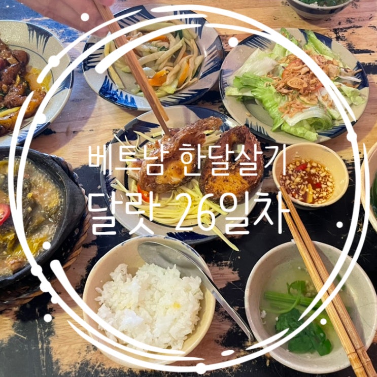  달랏 쌀국수(tiem bun quay), 가정식맛집(19 Hoi Do), 반짠느엉맛집(Di Dihn), 빨래방, 비건식당(Chay Corner)