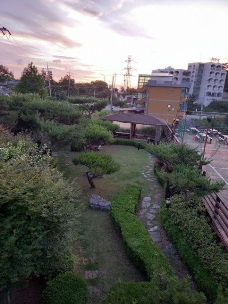 사진 2