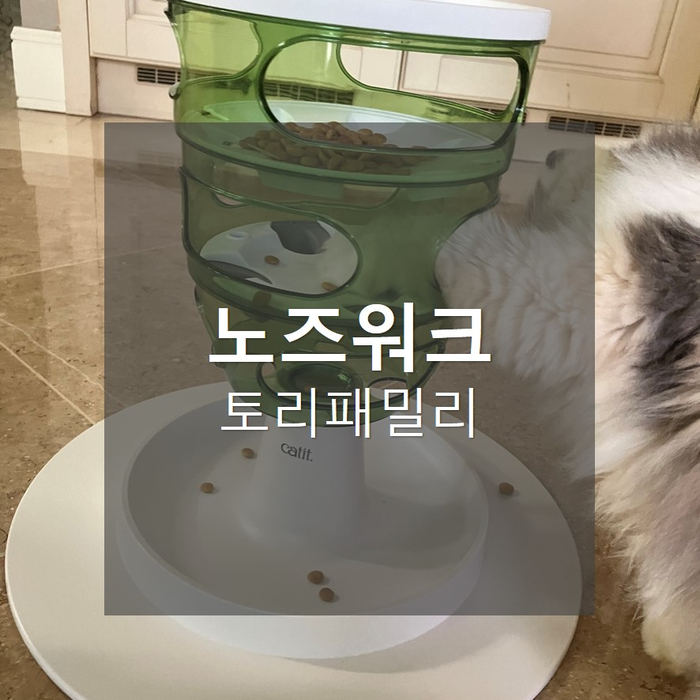  고양이 노즈워크_먹이퍼즐 푸드트리