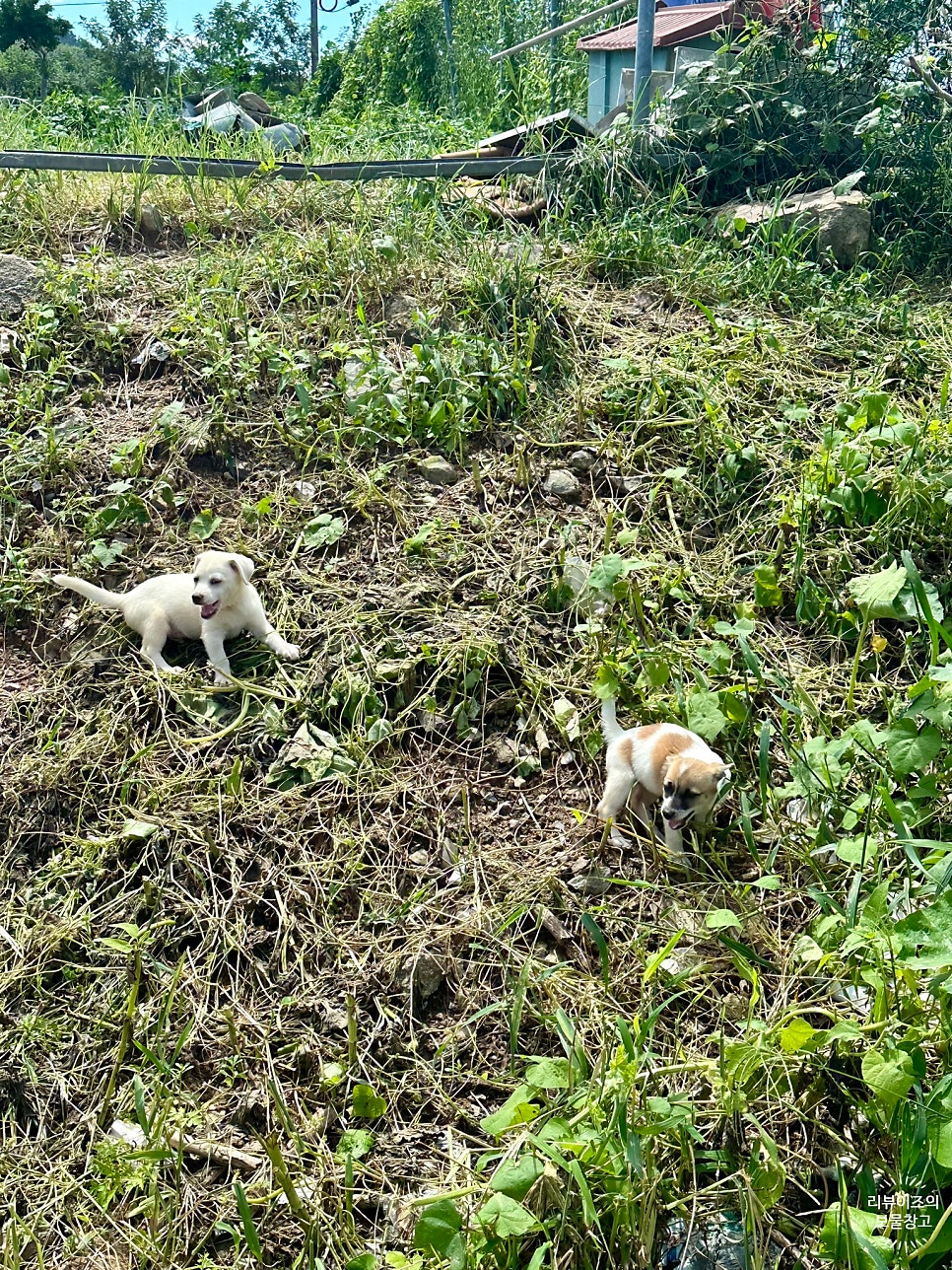 고흥식당 사진 3