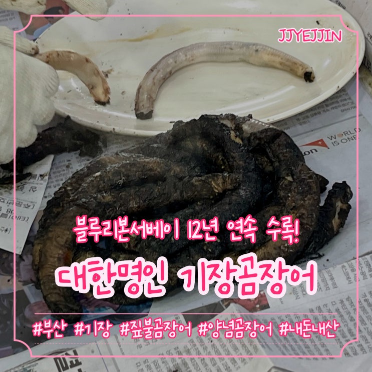  [부산|기장] 대한명인 기장곰장어 | 기장 벗겨먹는 꼼장어?! 블루리본 12년 연속 수록! 기장짚불곰장어맛집