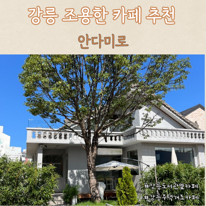 사진 3
