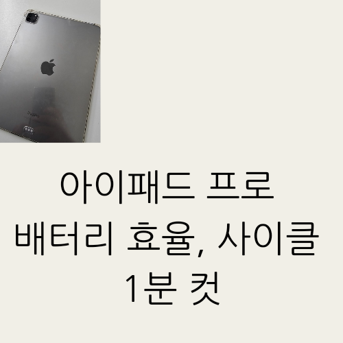 아이패드 프로 배터리 효율이랑 사이클 1분만에 확인하는 방법!