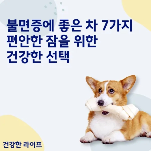  불면증에 좋은 차 7가지, 편안한 잠을 위한 건강한 선택