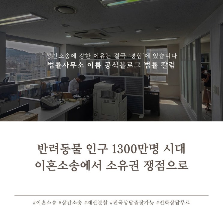  반려동물 인구 1300만명 시대 이혼소송에서 소유권 쟁점으로