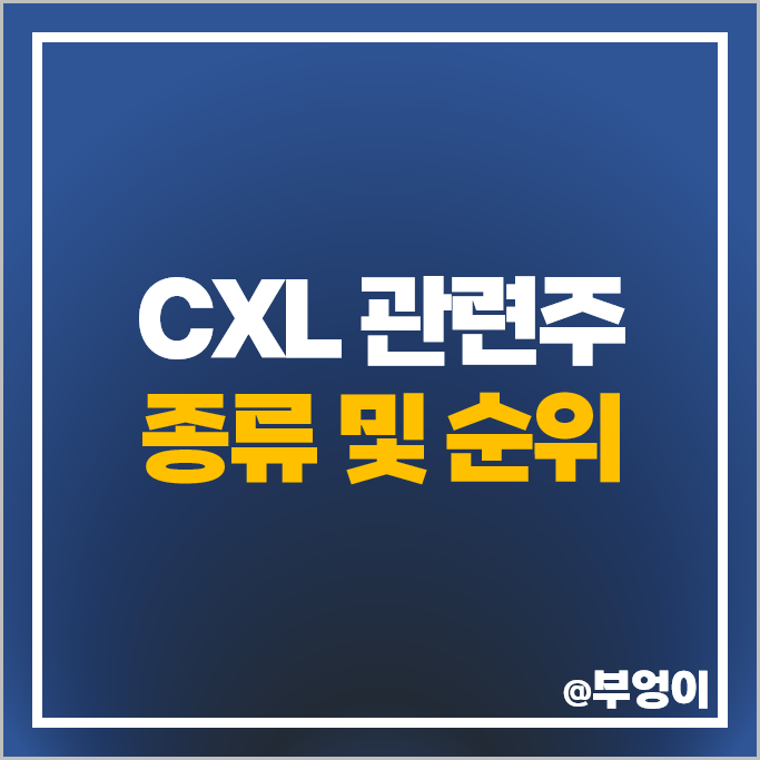 CXL 관련주 네오셈 주식 파두 대교 SK하이닉스 삼성전자 주가 CXL 관련주 네오셈 주식 파두 대교 SK하이닉스 삼성전자 주가