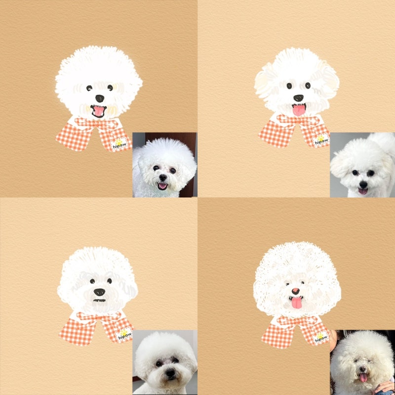 사진 2