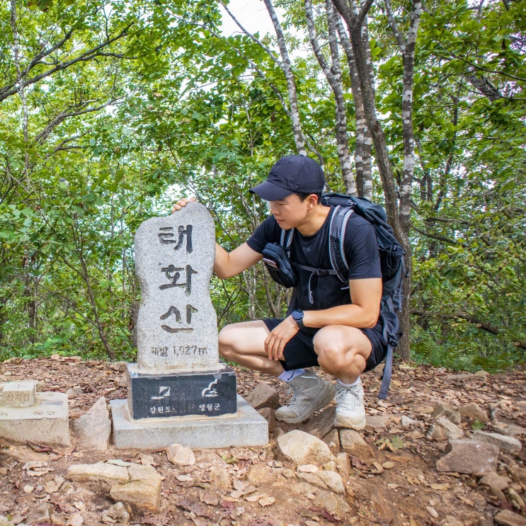  태화산 최단코스 영월 등산 코스 백대명산
