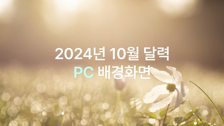  2024년 10월 달력 PC UHD 4K 차분한 가을 감성 배경화면 6종