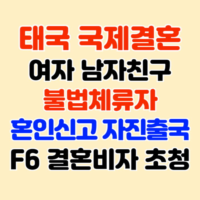 태국 불법체류자 여자 남자친구 태국인 국제결혼 자진출국 결혼비자 F6 재입국 준비 DS행정사 태국 불법체류자 여자 남자친구 태국인 국제결혼 자진출국 결혼비자 F6 재입국 준비 DS행정사