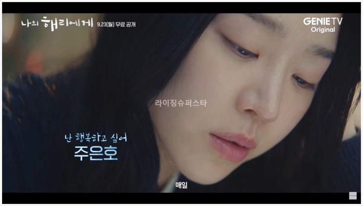  나의해리에게 드라마 등장인물 OTT 원작 신혜선 이진욱 강훈 해리성 인격장애 유어아너 후속작 한가람 작가 지니티비 ena 강주연 주은호 정현오