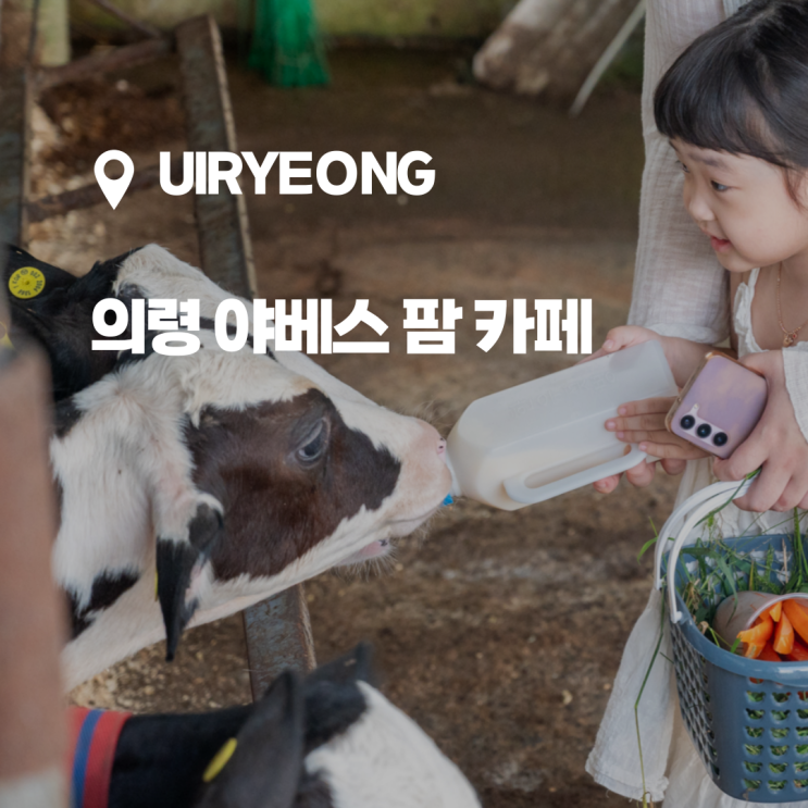  경남 아이랑 가볼만한 곳, 목장 체험이 가능한 의령 야베스팜