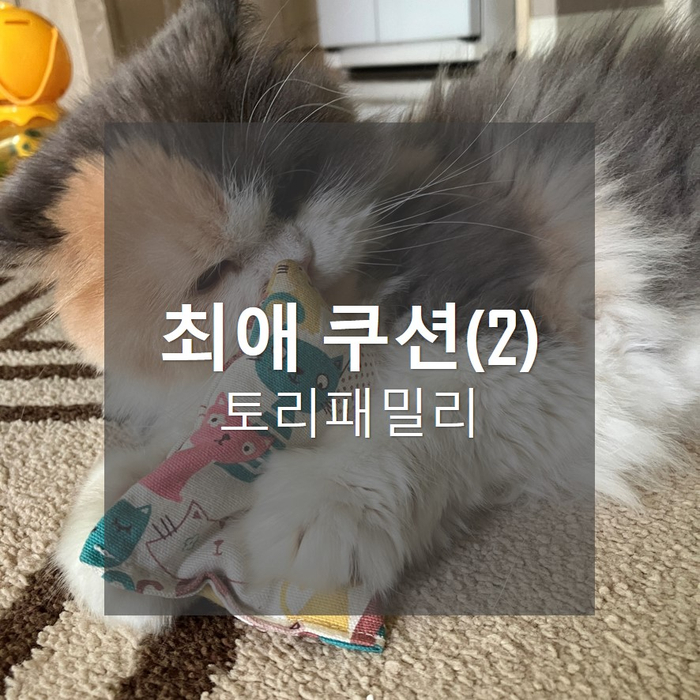  토리패밀리, 최애쿠션(토리편)
