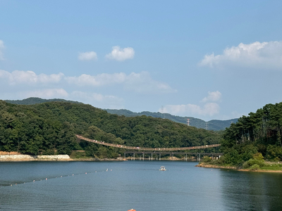  파주 마장호수 출렁다리 애견동반 산책길 둘레길
