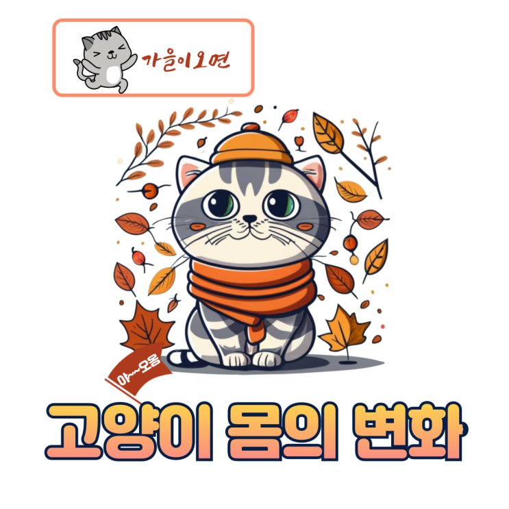  가을 탔나냥!!_ 가을되면 나타나는 고양이 몸의 변화