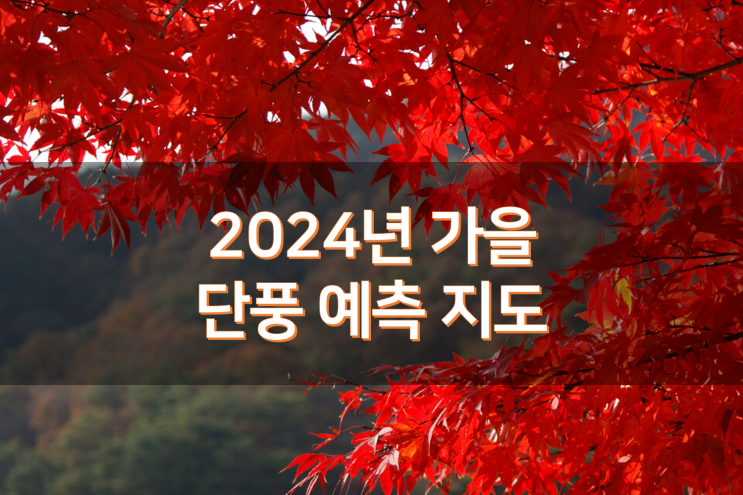  2024 전국 단풍지도 단풍명소 단풍시기 소개