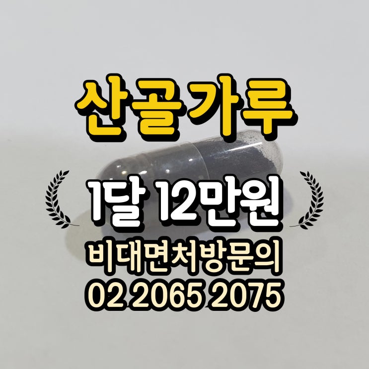  산골환 효능 가격 파는곳 "산골판매소"