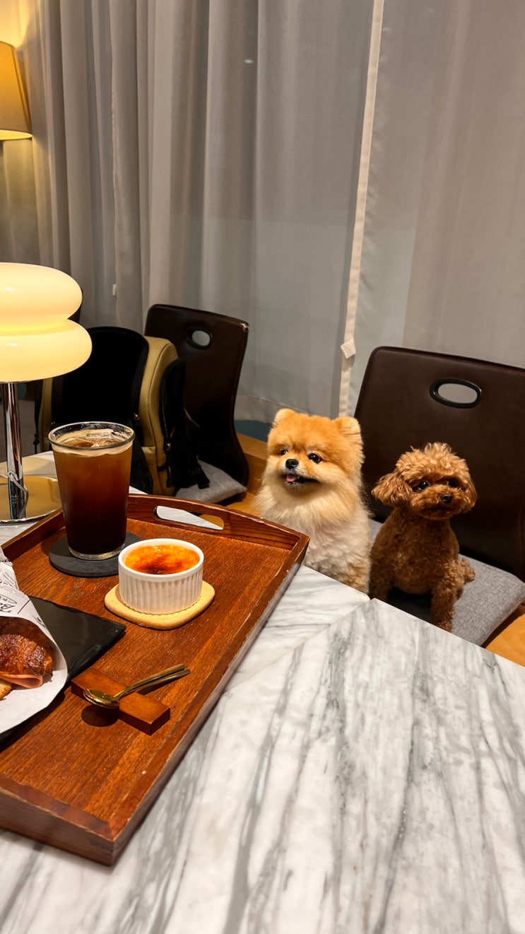 [서울/신당] 크로와상 샌드위치 맛집 발견 | 신당 상왕십리역 센트라스 상가 카페 그린 CAFE GREEN