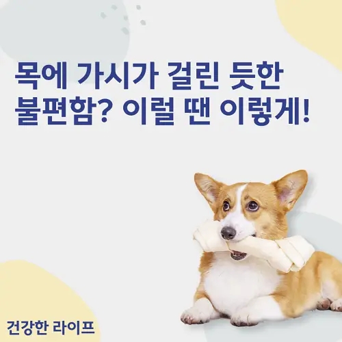  목에 가시가 걸린 듯한 불편함? 이럴 땐 이렇게!