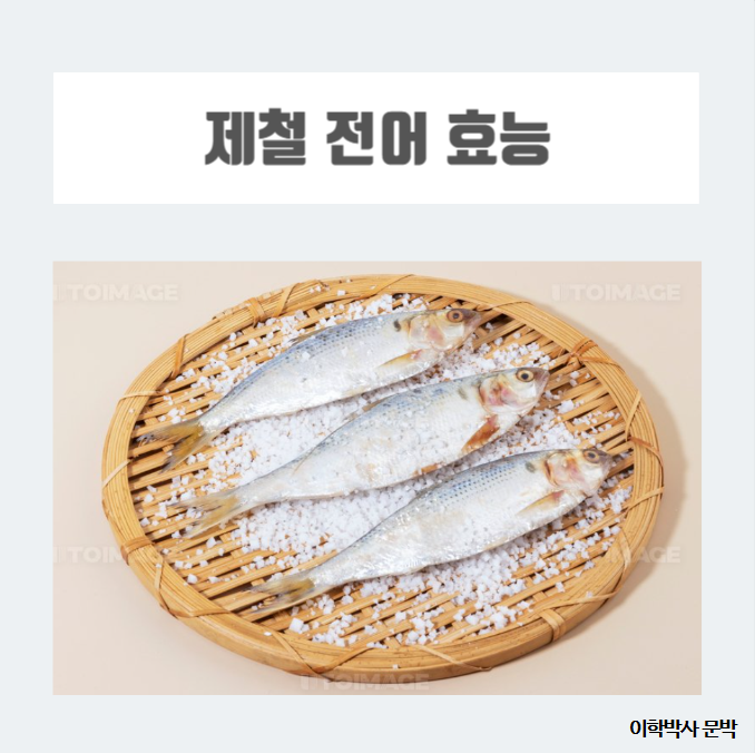  가을전어 효능과 제철전어 칼로리는 얼마나 될까?