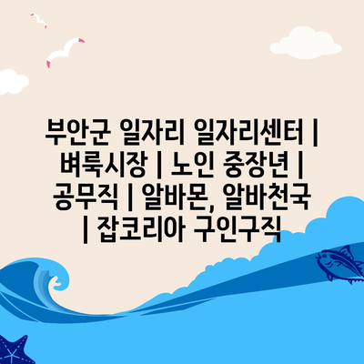  노인과 중장년층을 위한 부안군의 일자리 지원 프로그램