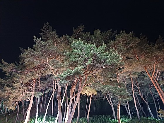 57번지게스트하우스 사진 5