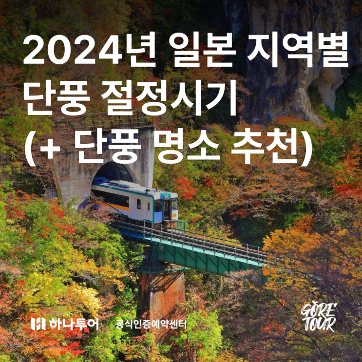  2024년 일본 지역별 단풍 절정시기 (+ 지역별 단풍 명소 추천)