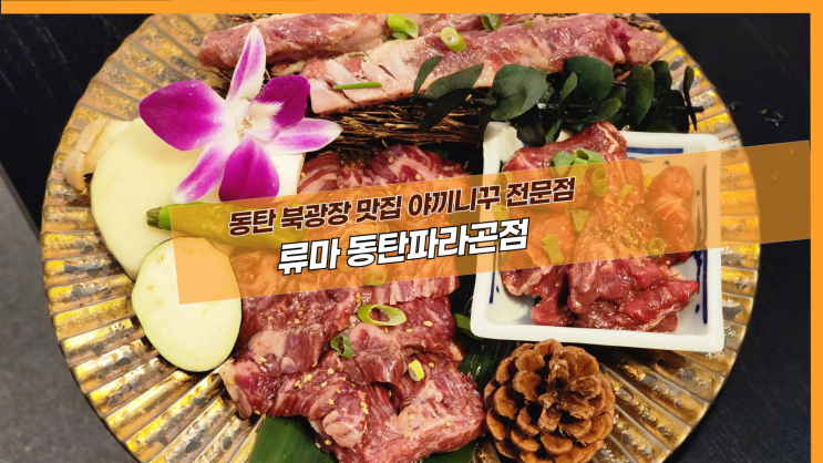  [동탄 류마] 동탄 북광장 맛집 야끼니꾸 전문점
