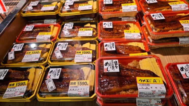  일본 후쿠오카 :: 로피아 장어덮밥 이온몰 회